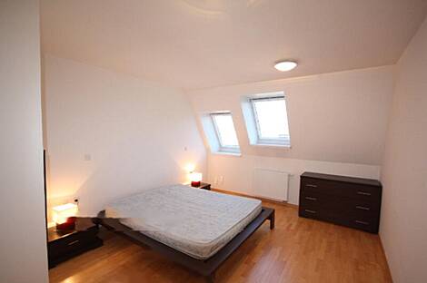 Любляна, 5+ комнат, квартира: 12