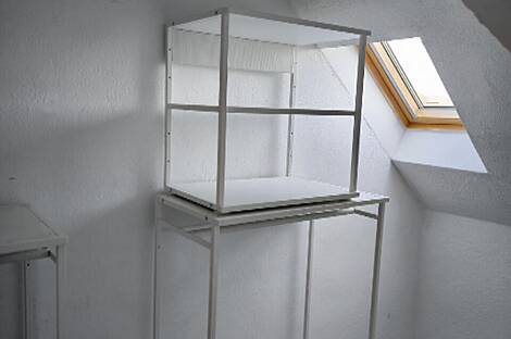 3,5-комнатная квартира в районе Ново Поле.: 5