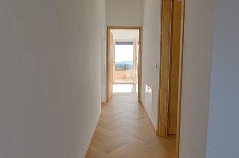 Новая Шентьяковская квартира: 11