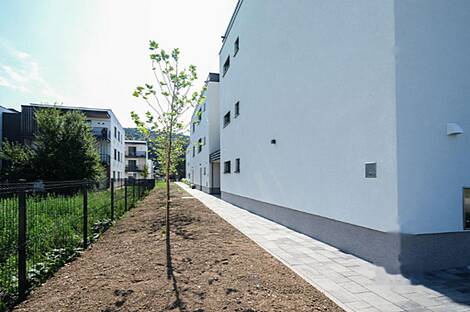 Квартира с двумя комнатами в Надгорице: 13