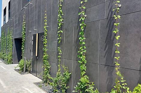 Четырехкомнатная квартира в Шишке: 6