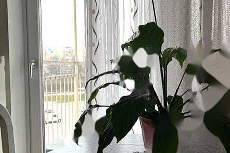 Квартира с одной комнатой в Шишке: 4