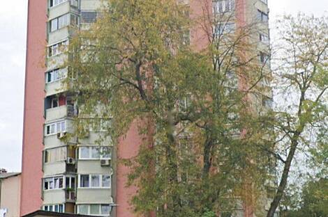 Жилье через дорогу от кинотеатра: 8