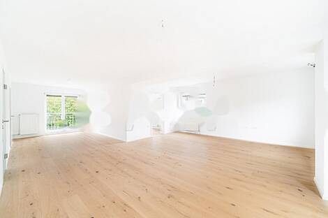 Четырёхкомнатная квартира, Новая Шишка: 1