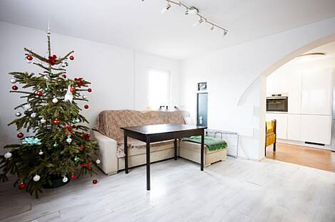 Жилье в Новом Сече: 12