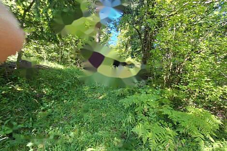 Здание в Великом Требелеве: 3