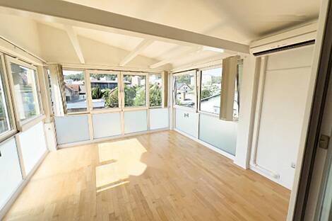 Здание в Любляне, Шишка: 1