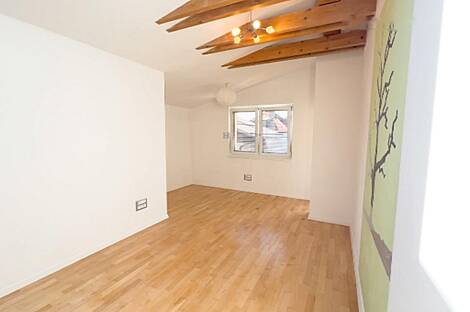 Здание в Любляне, Шишка: 3