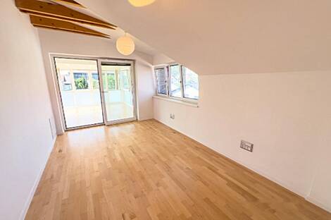 Здание в Любляне, Шишка: 4