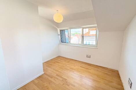 Здание в Любляне, Шишка: 5