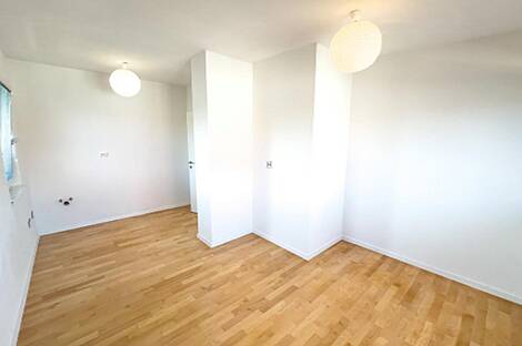 Здание в Любляне, Шишка: 7