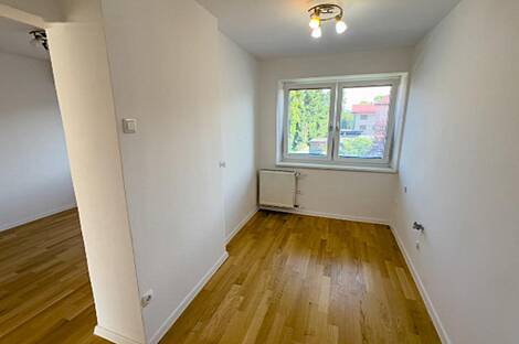 Здание в Любляне, Шишка: 13