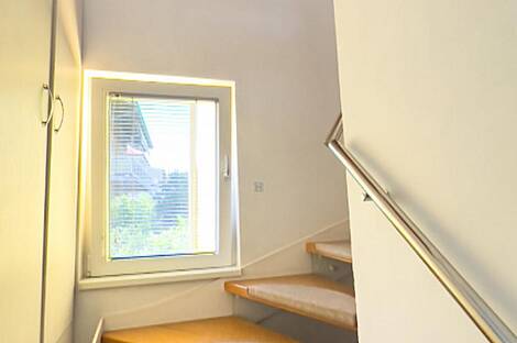 Здание в Любляне, Шишка: 17