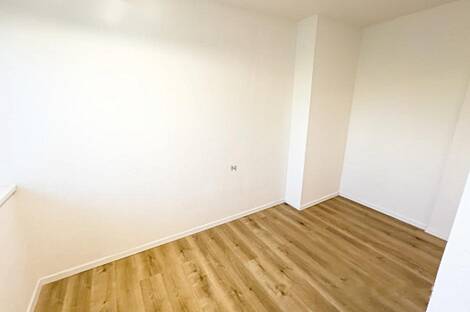 Здание в Любляне, Шишка: 26