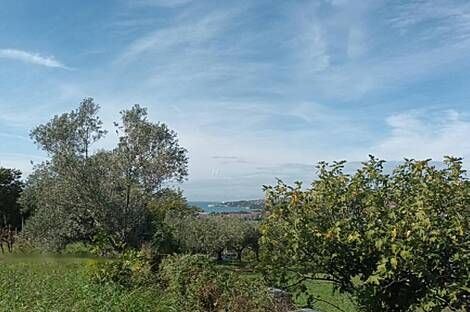 Дом, хозяйство Сеча, с видом на Сечовельский залив.: 1