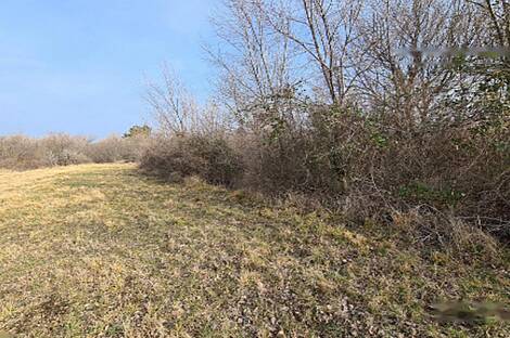 Дом, сельское хозяйство Тиньян, Урбанцы.: 4