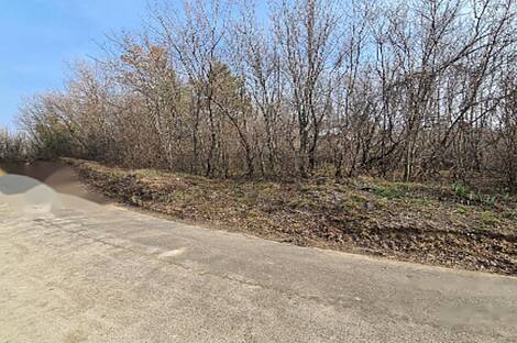 Дом, сельское хозяйство Тиньян, Урбанцы.: 8