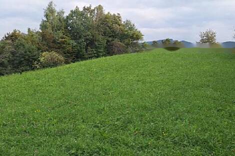 Дом, хозяйство Воловле: 2