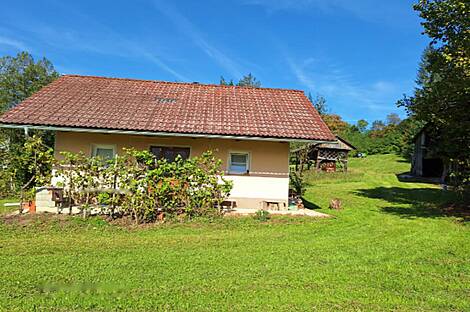 Дом, хозяйство Лончарев Дол: 1