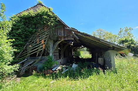 Забуковье - это дом, обладающий чертами фермы.: 6