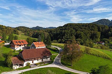 Дом - дом Похлин, дом Брстовница.: 1