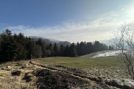 Дворянская усадьба, Каменный горный дом.: 1