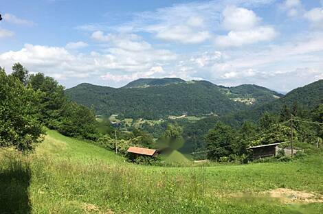 Дом, ферма Коншице - часть.: 1