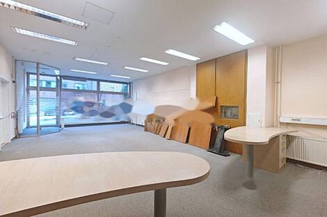 Шишка - пространство для работы в офисе.: 5