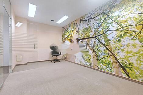 Шишка - пространство для работы в офисе.: 9