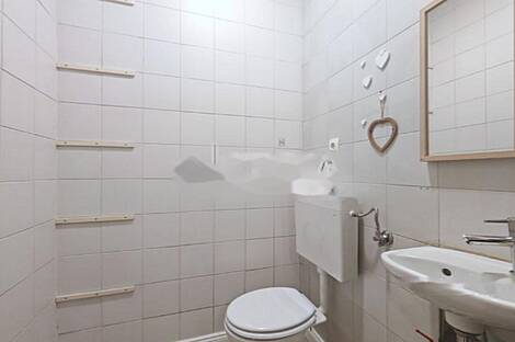 Помещение для коммерции Шишка: 6