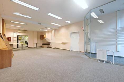 Шишка - коммерческое помещение.: 2