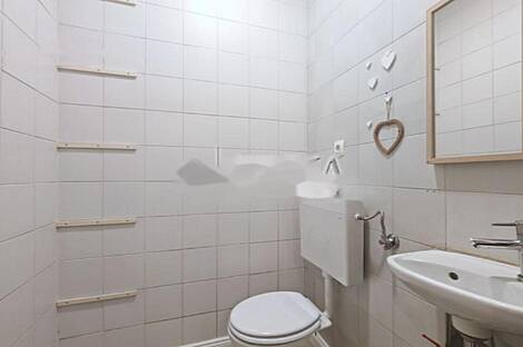 Шишка - коммерческое помещение.: 6