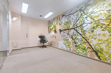 Шишка - коммерческое помещение.: 9