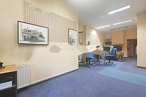 Шишка - коммерческое помещение.: 10