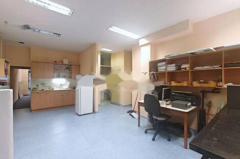 Шишка - коммерческое помещение.: 13