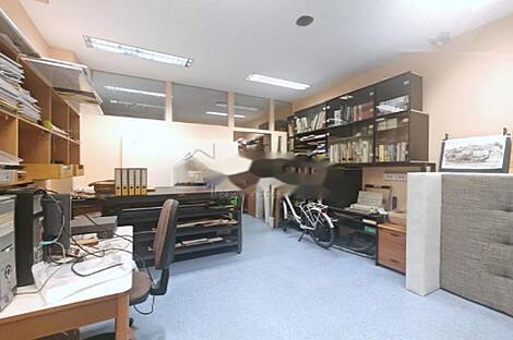 Шишка - коммерческое помещение.: 16