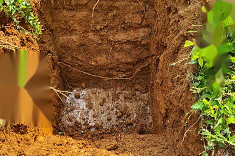 Чрномель, дом: 5