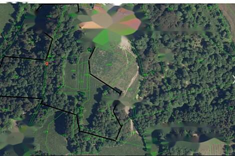 Козье, дом: 4