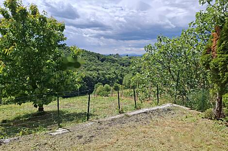 Тибольцы, дом: 4