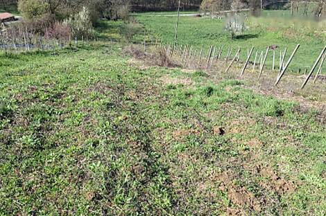 Тибольцы, дом: 5