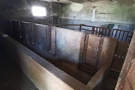 Дом, Гибина: 15