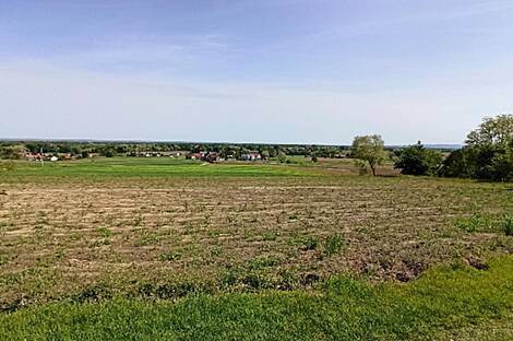 Дом, Гибина: 20