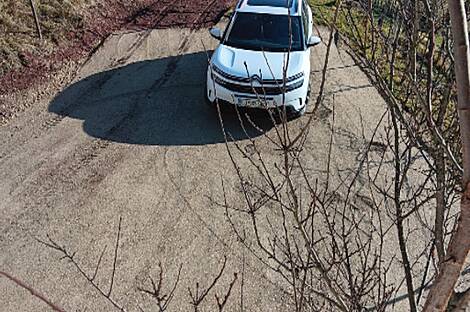 Штайнгроб дом: 22