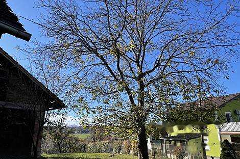 Чершак, дом: 7