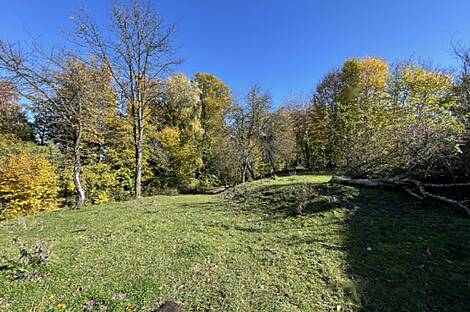 Чершак, дом: 8