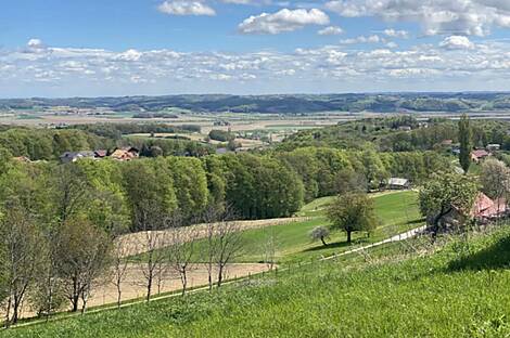 Здание Дестриник в районе Птуй.: 2