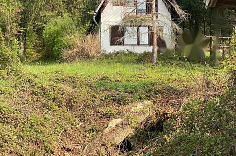 Дом, расположенный в Подлехнике: 5