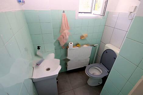 Дом в Бледе.: 12