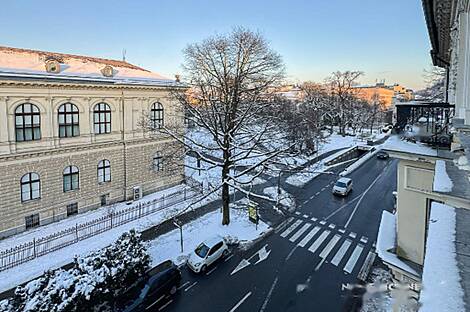 Квартира с тремя комнатами в центральной части города: 23