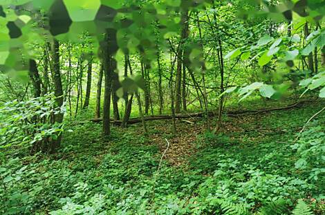 Обитель Друго Чагона: 17